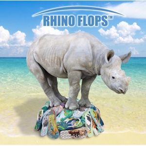 Meet your Posher, Jane